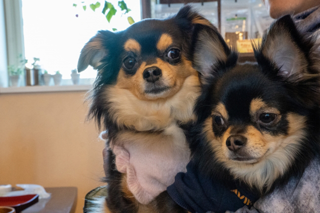 〇〇ちゃんと〇〇ちゃん