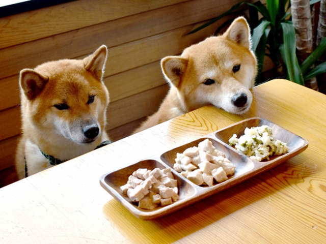 鶏肉のわんプレート