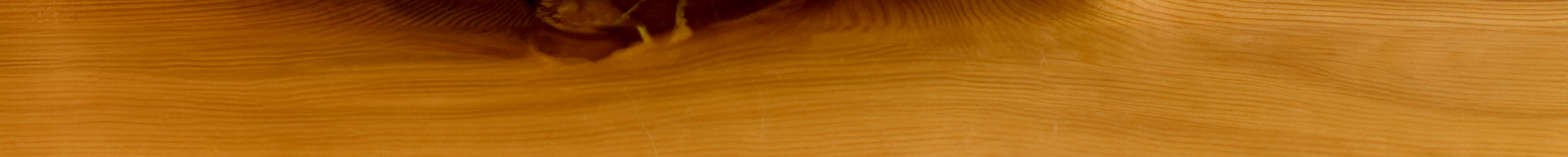 わんのメインビジュアル