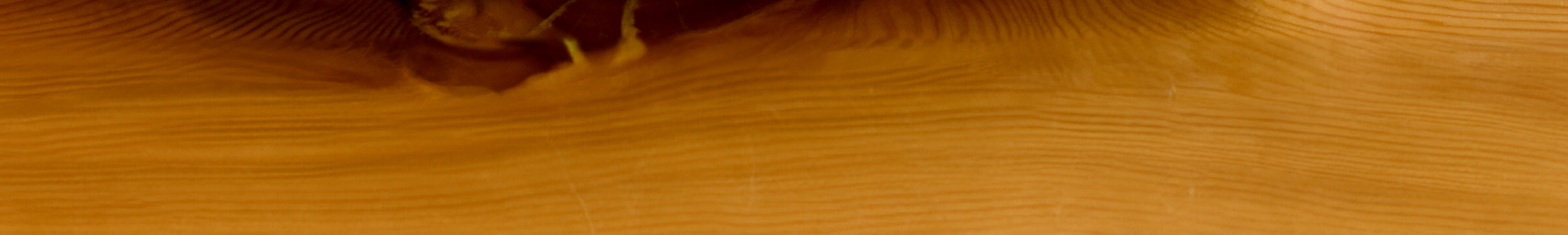 わんのメインビジュアル