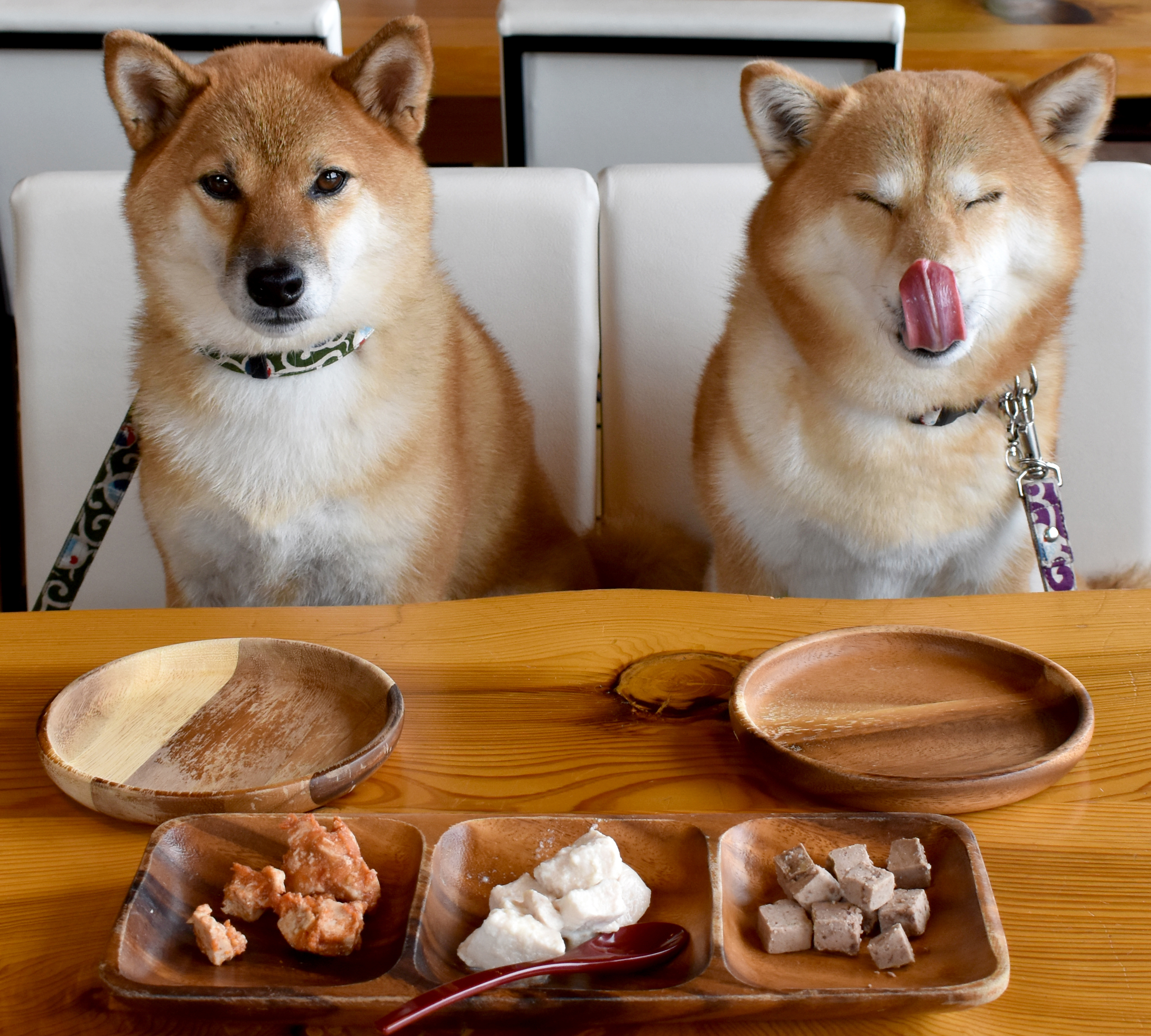 わんのメインビジュアル